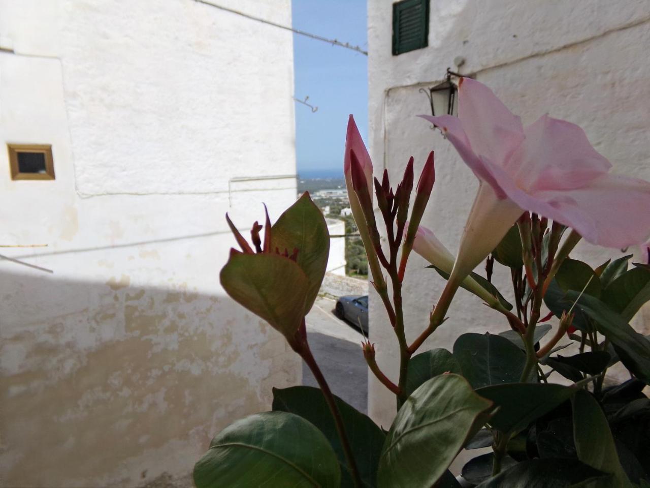 Le Tre Volte Vila Ostuni Exterior foto